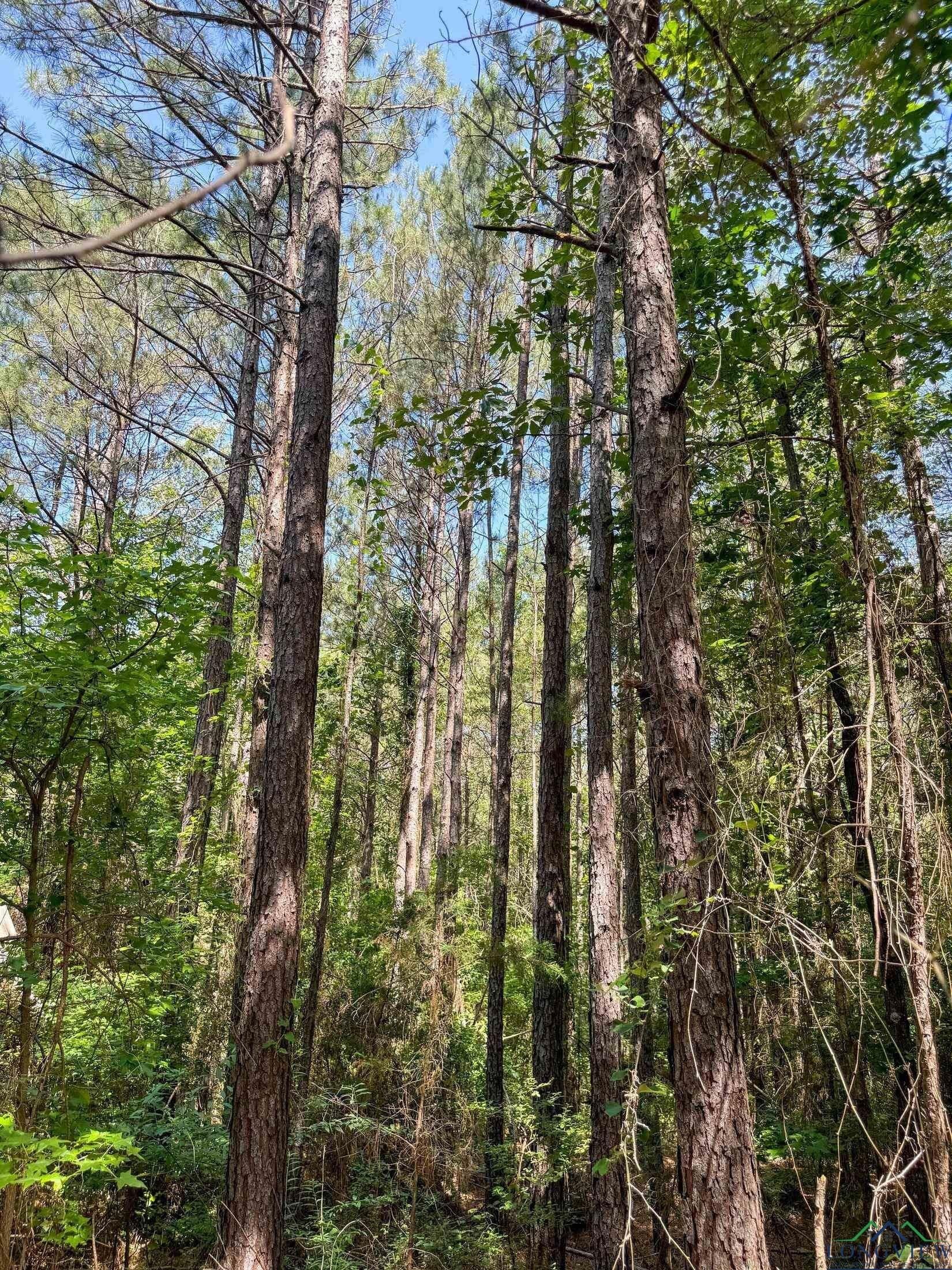 24.36 acres in Texas County - photo 9