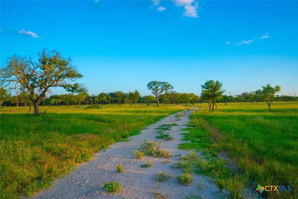 10.83 acres in Blanco County - photo 6