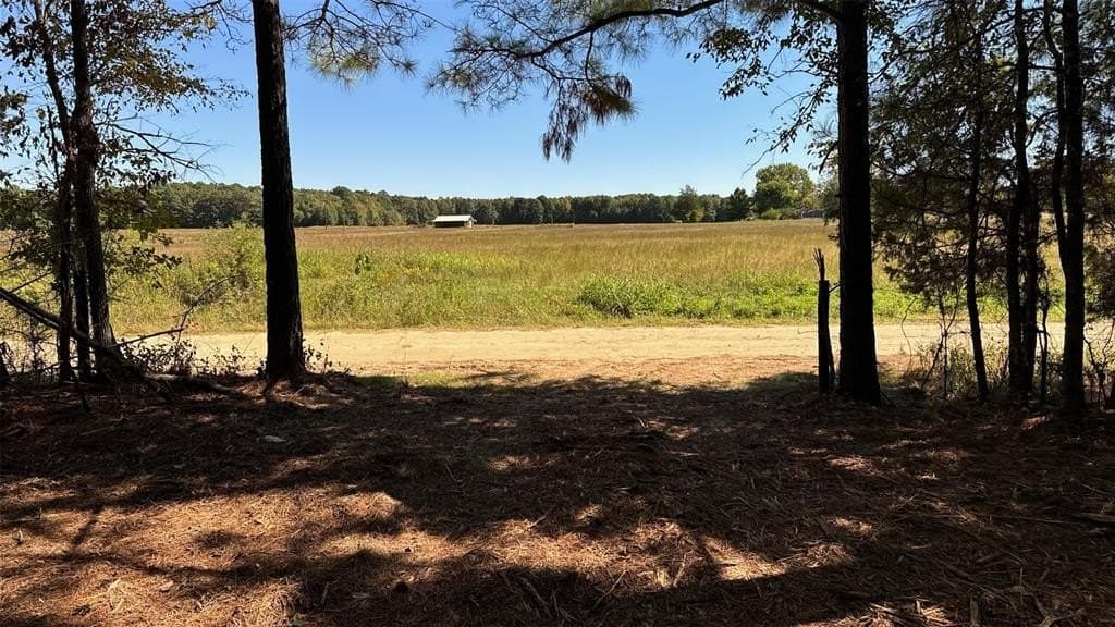 25.89 acres in Red River County - photo 2