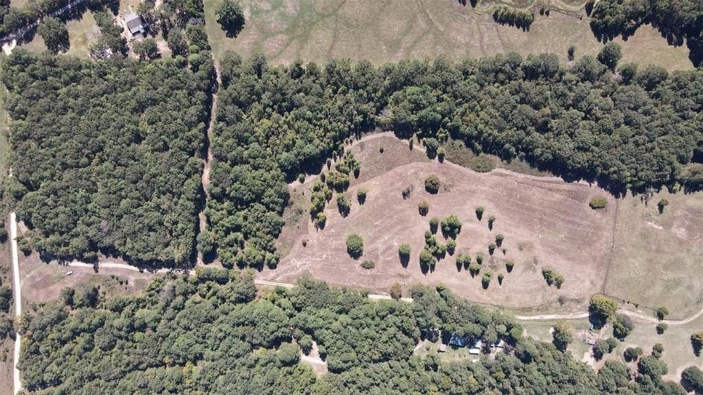 25.89 acres in Red River County - photo 7