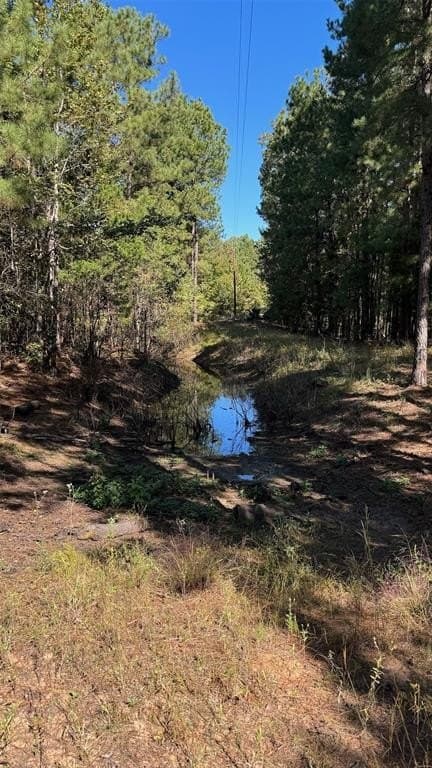 25.89 acres in Red River County - photo 10
