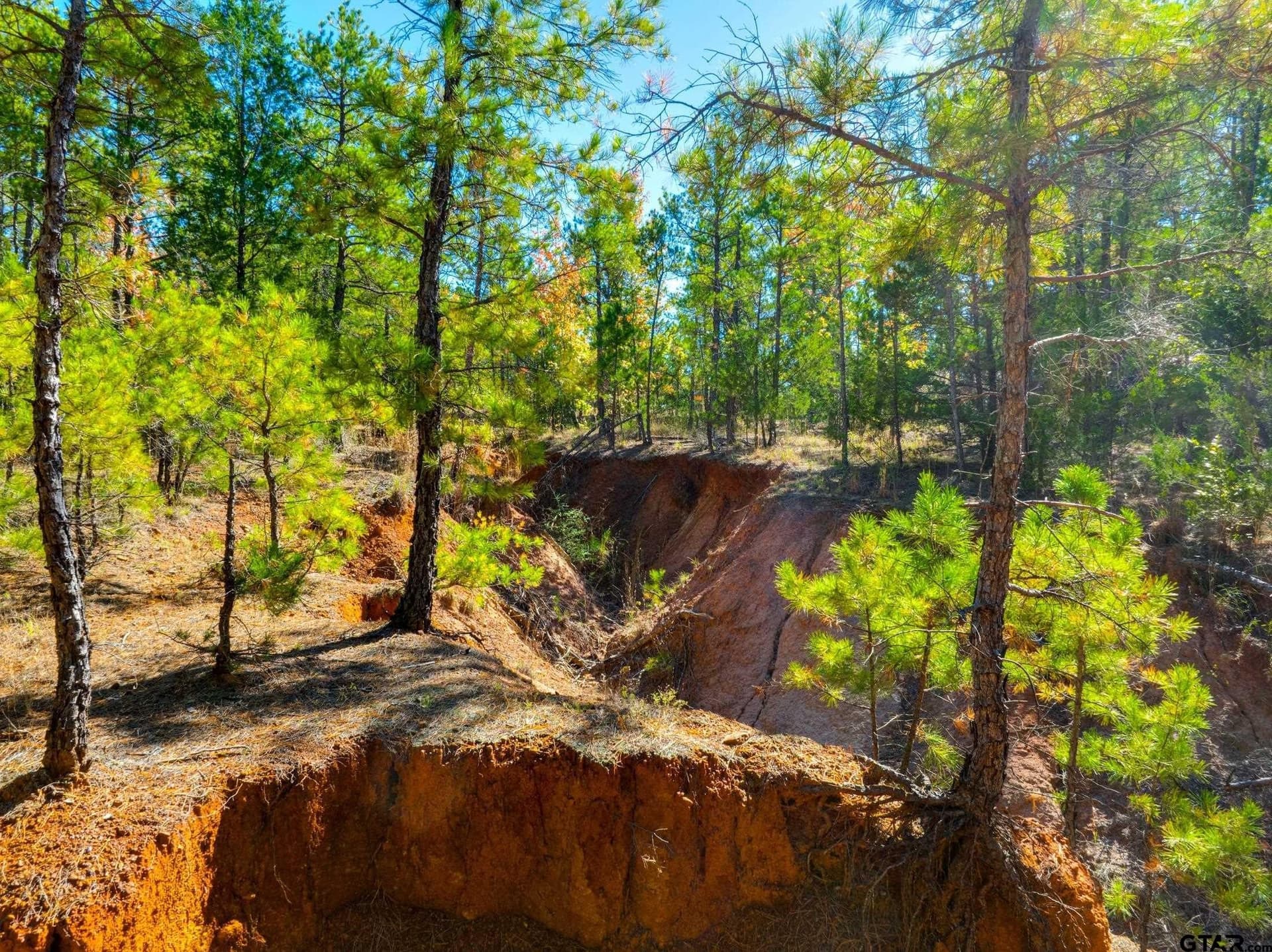 62.4 acres in Van Zandt County - photo 41