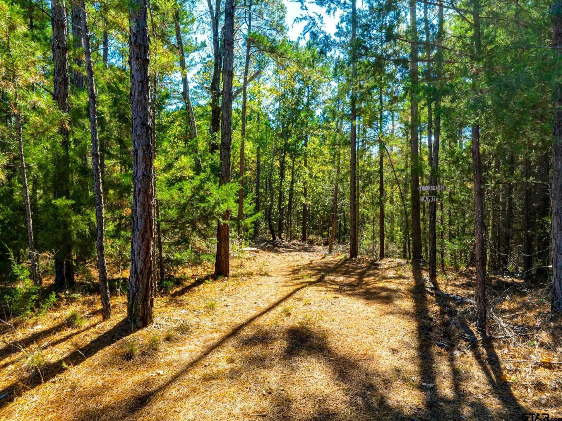 62.4 acres in Van Zandt County - photo 39