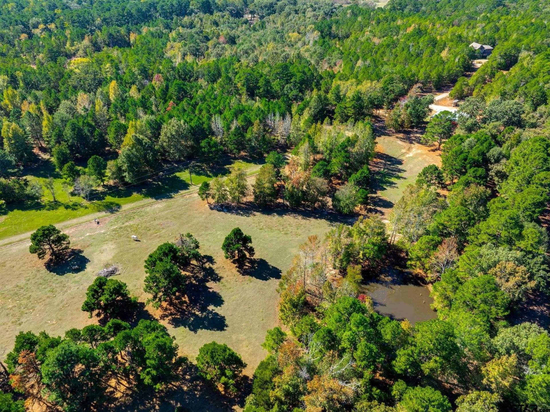 62.4 acres in Van Zandt County - photo 37