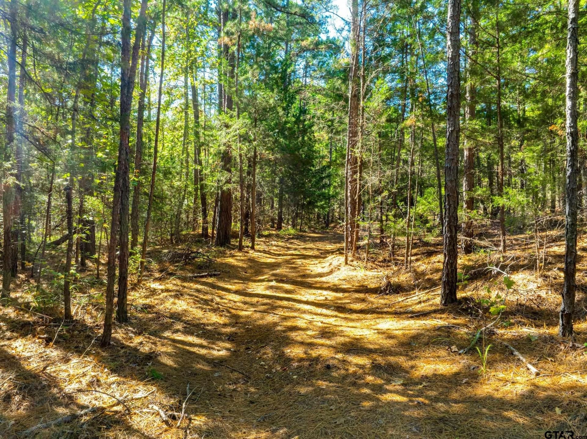 62.4 acres in Van Zandt County - photo 40