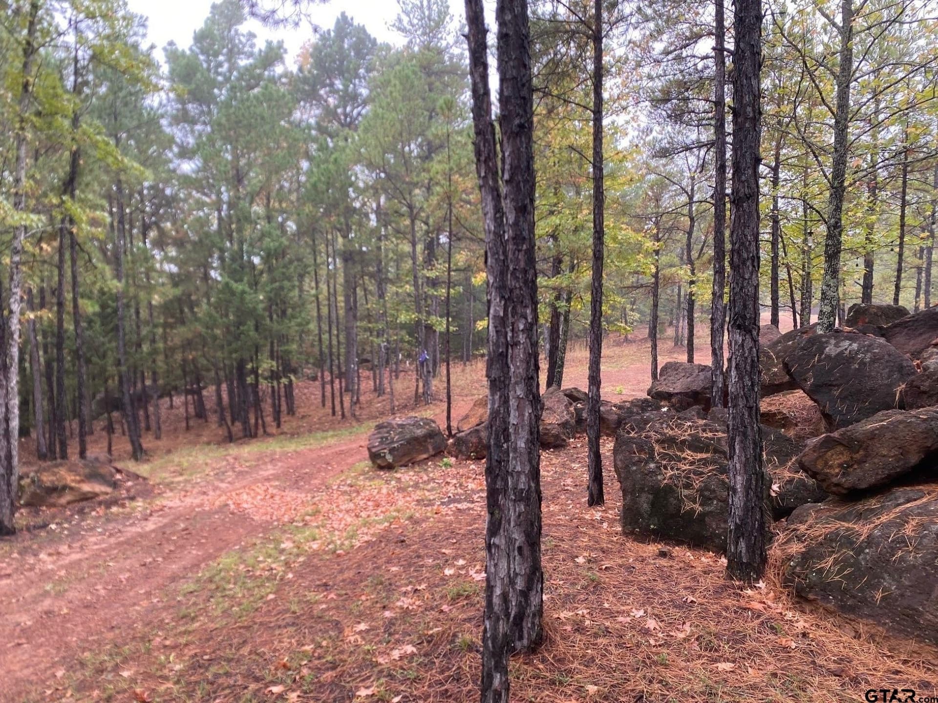 62.4 acres in Van Zandt County - photo 46