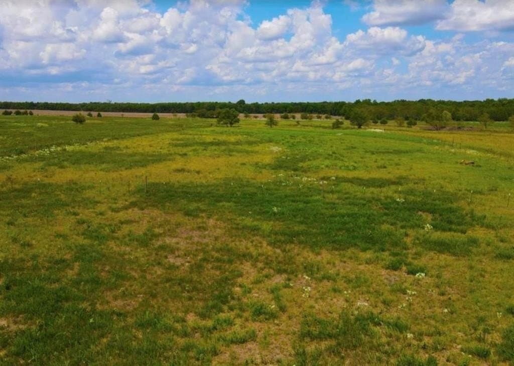10.04 acres in Lamar County - photo 5