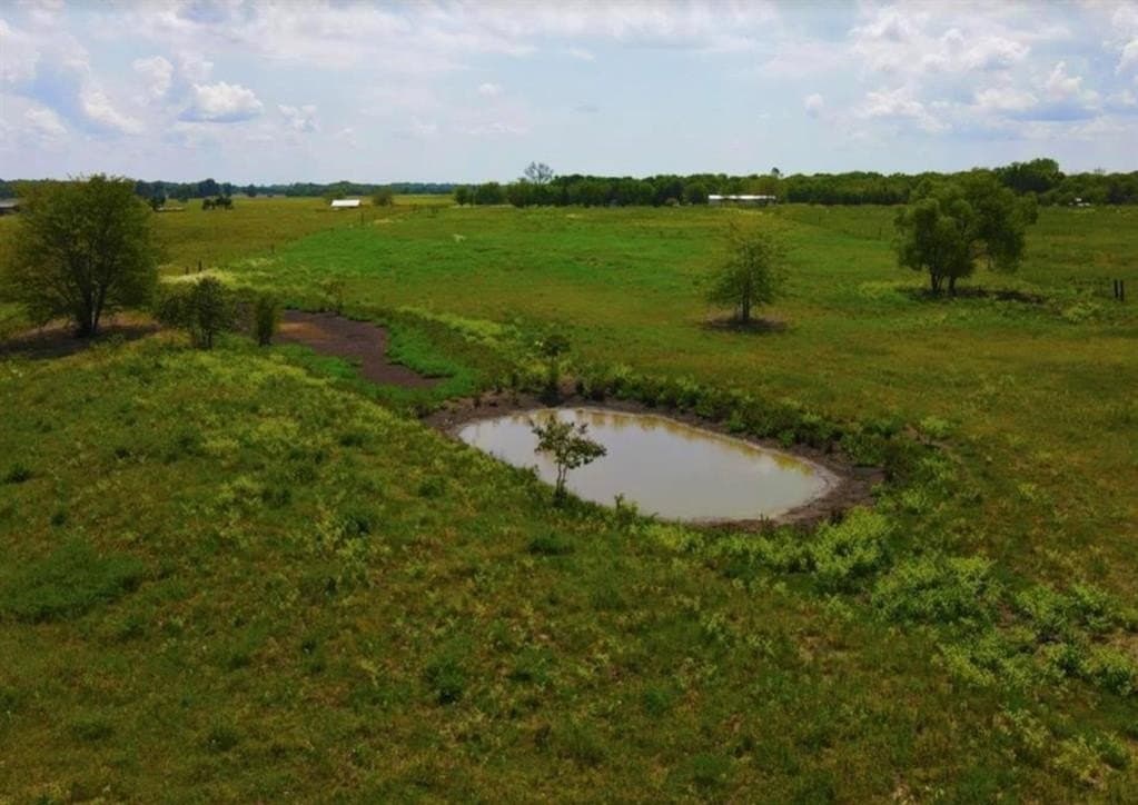 10.04 acres in Lamar County - photo 6