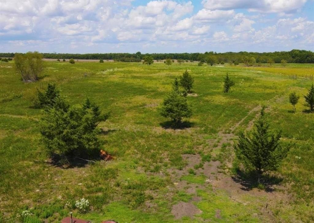10.04 acres in Lamar County - photo 4