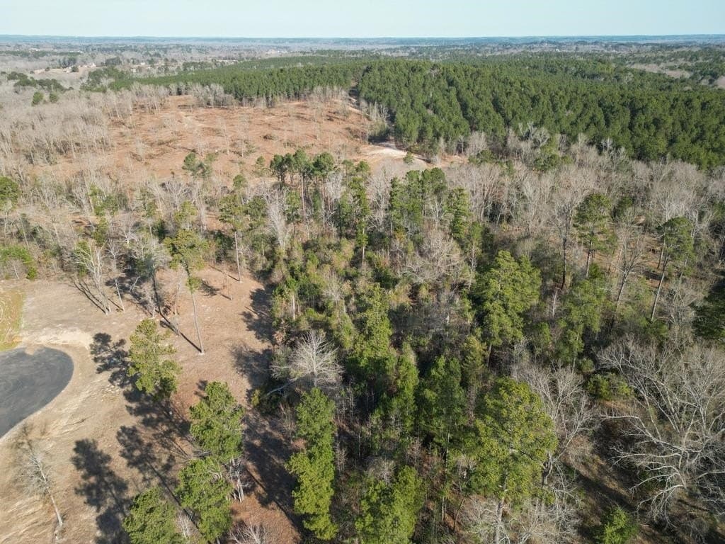 1.06 acres in Harrison County - photo 8