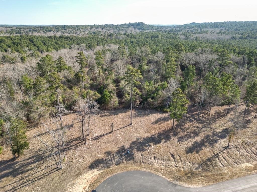 1.06 acres in Harrison County - photo 6