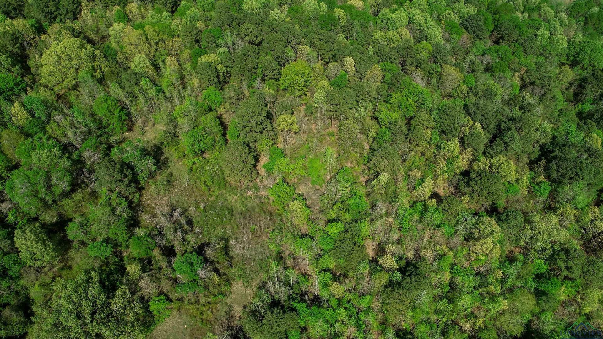 37.45 acres in Texas County - photo 8