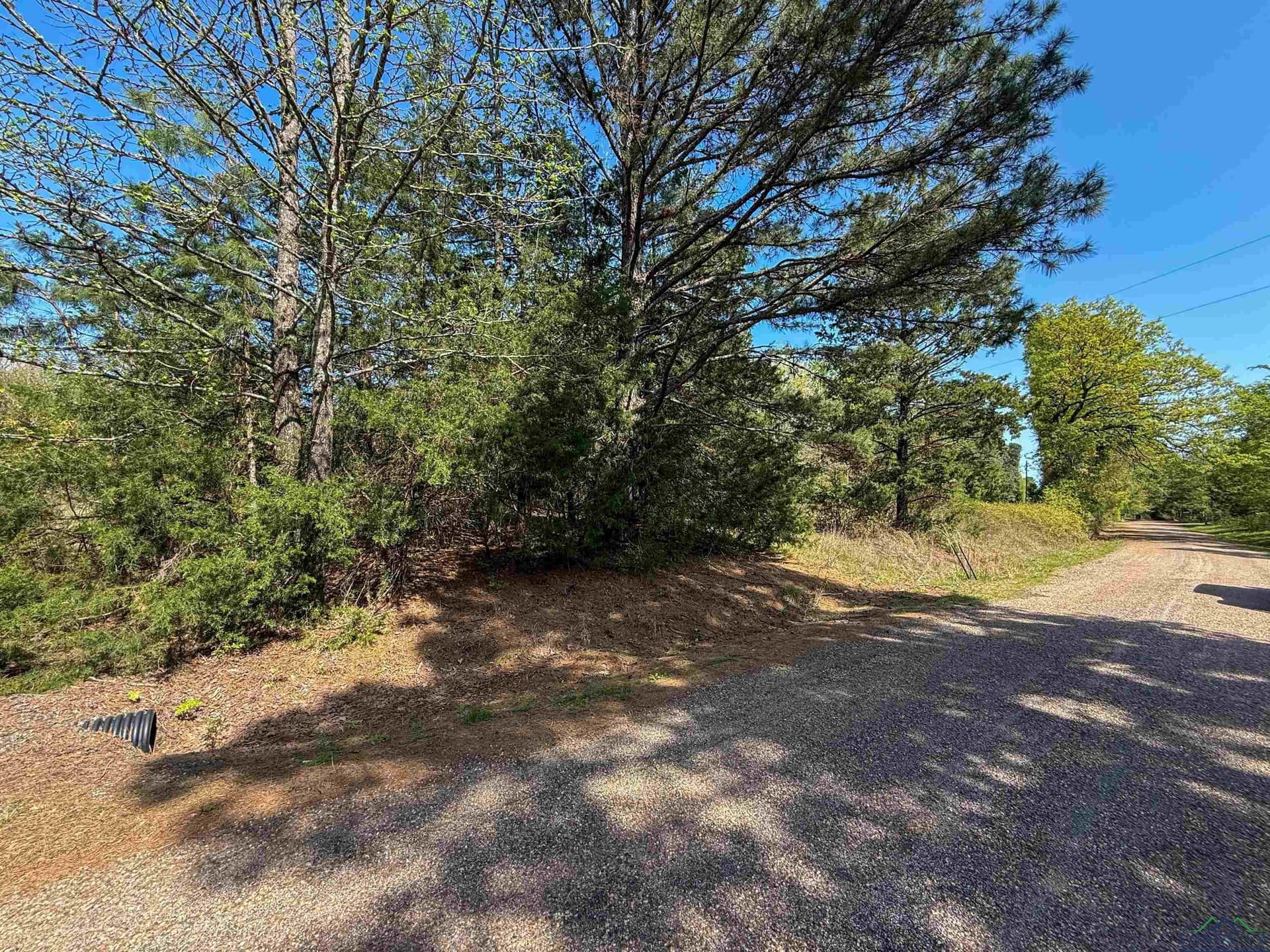 37.45 acres in Texas County - photo 9