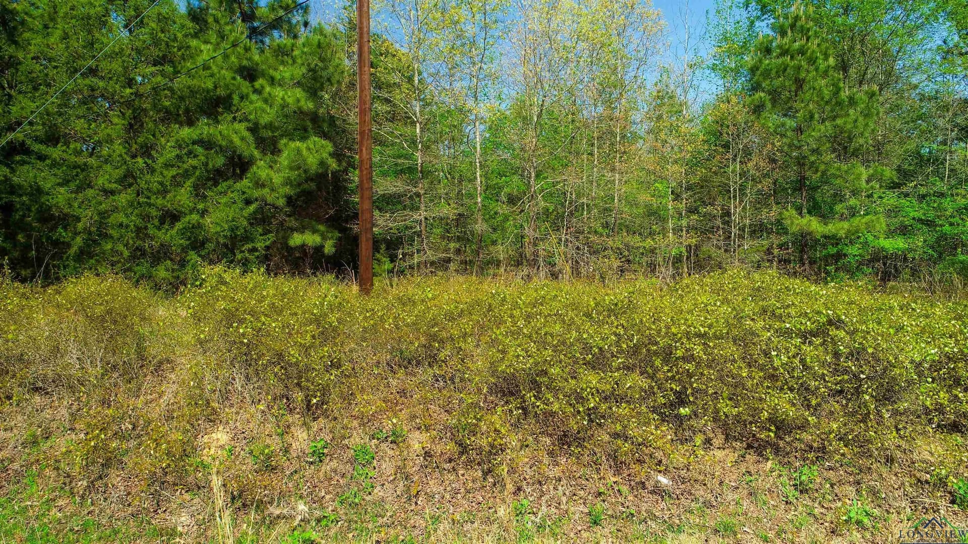 37.45 acres in Texas County - photo 3