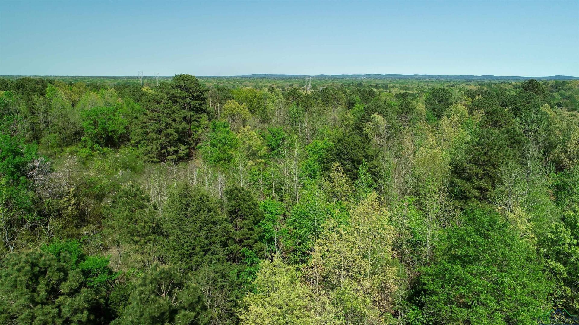 37.45 acres in Texas County - photo 4