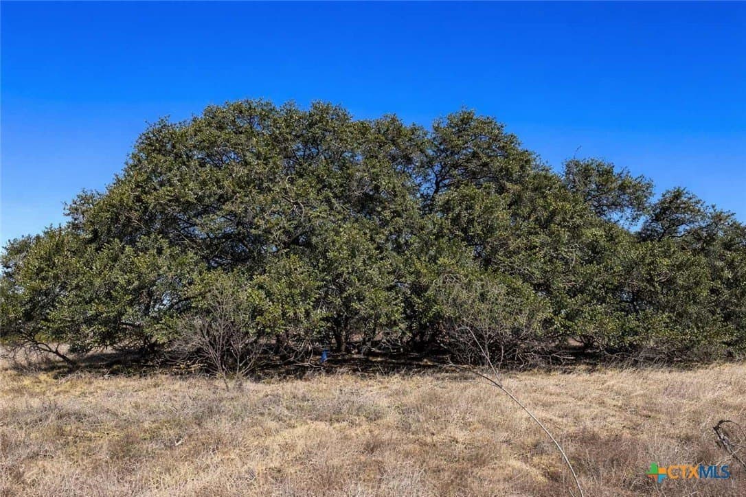 64.86 acres in Coryell County - photo 6