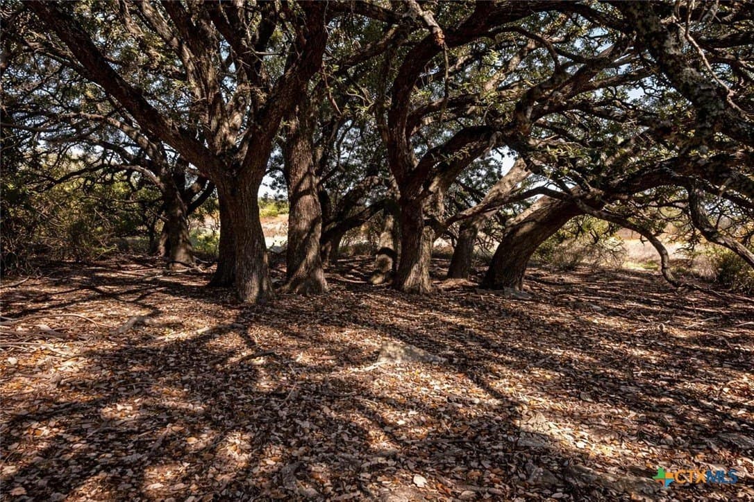 64.86 acres in Coryell County - photo 14