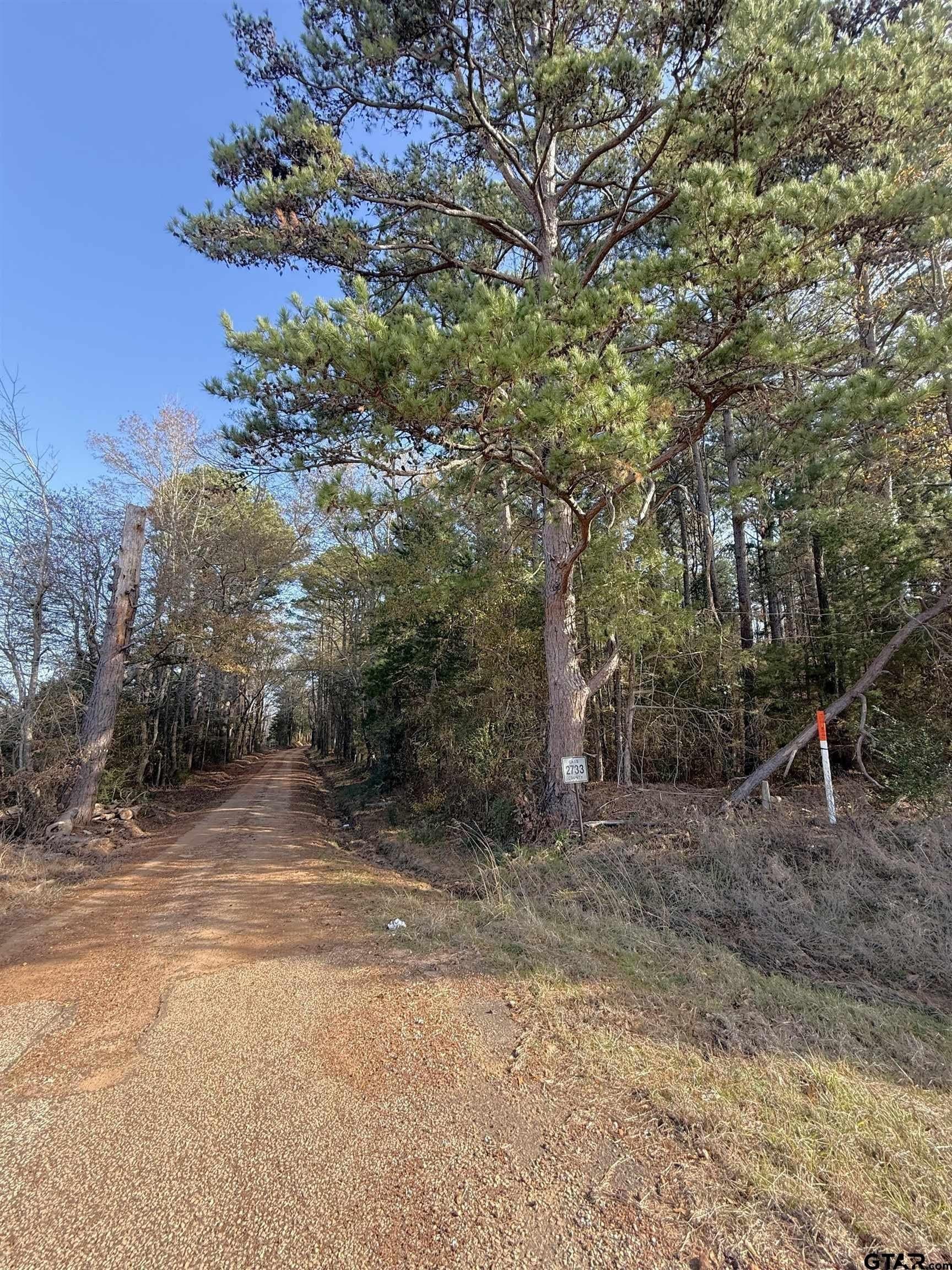 11 acres in Cass County - photo 4