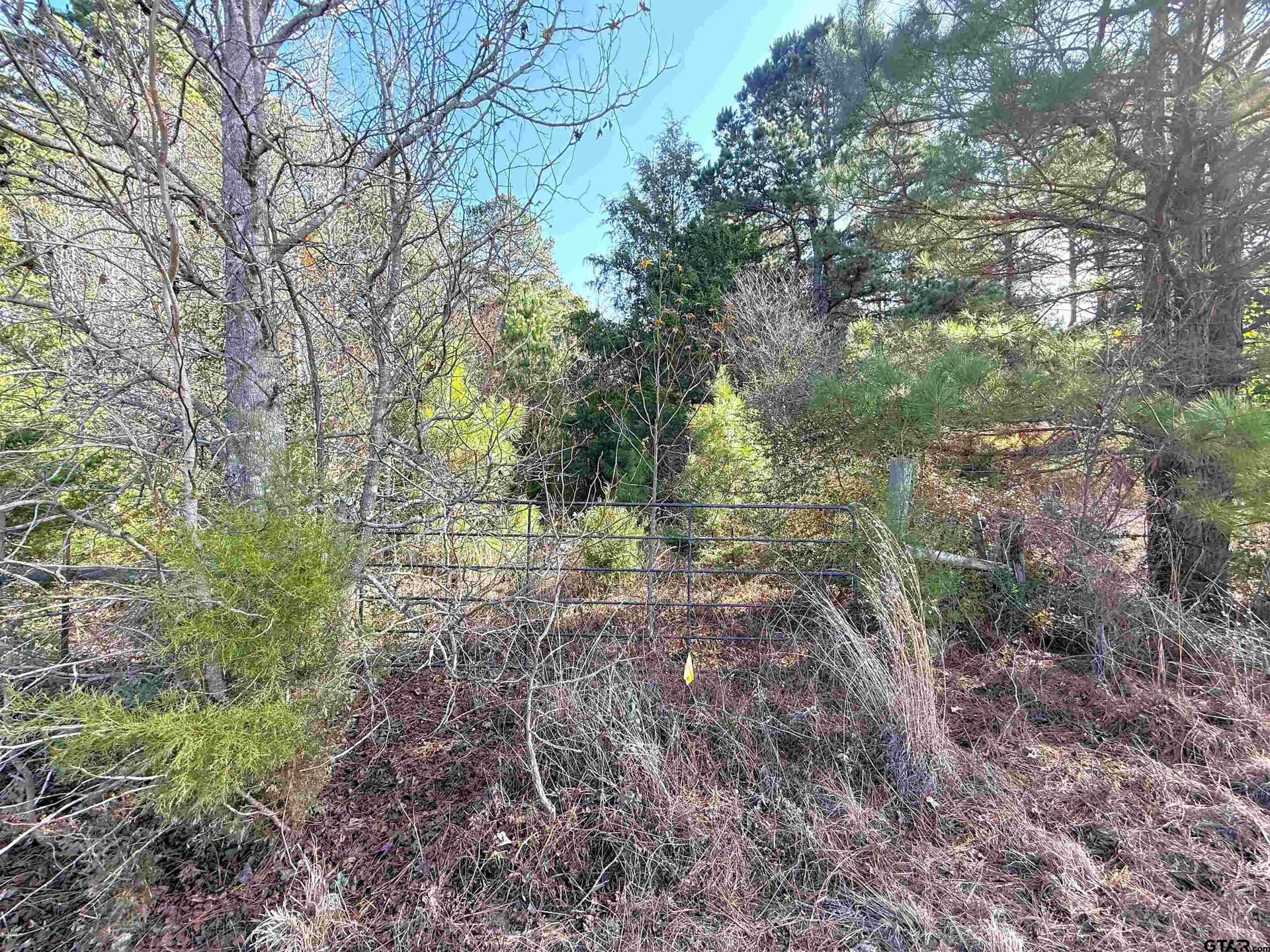 11 acres in Cass County - photo 3