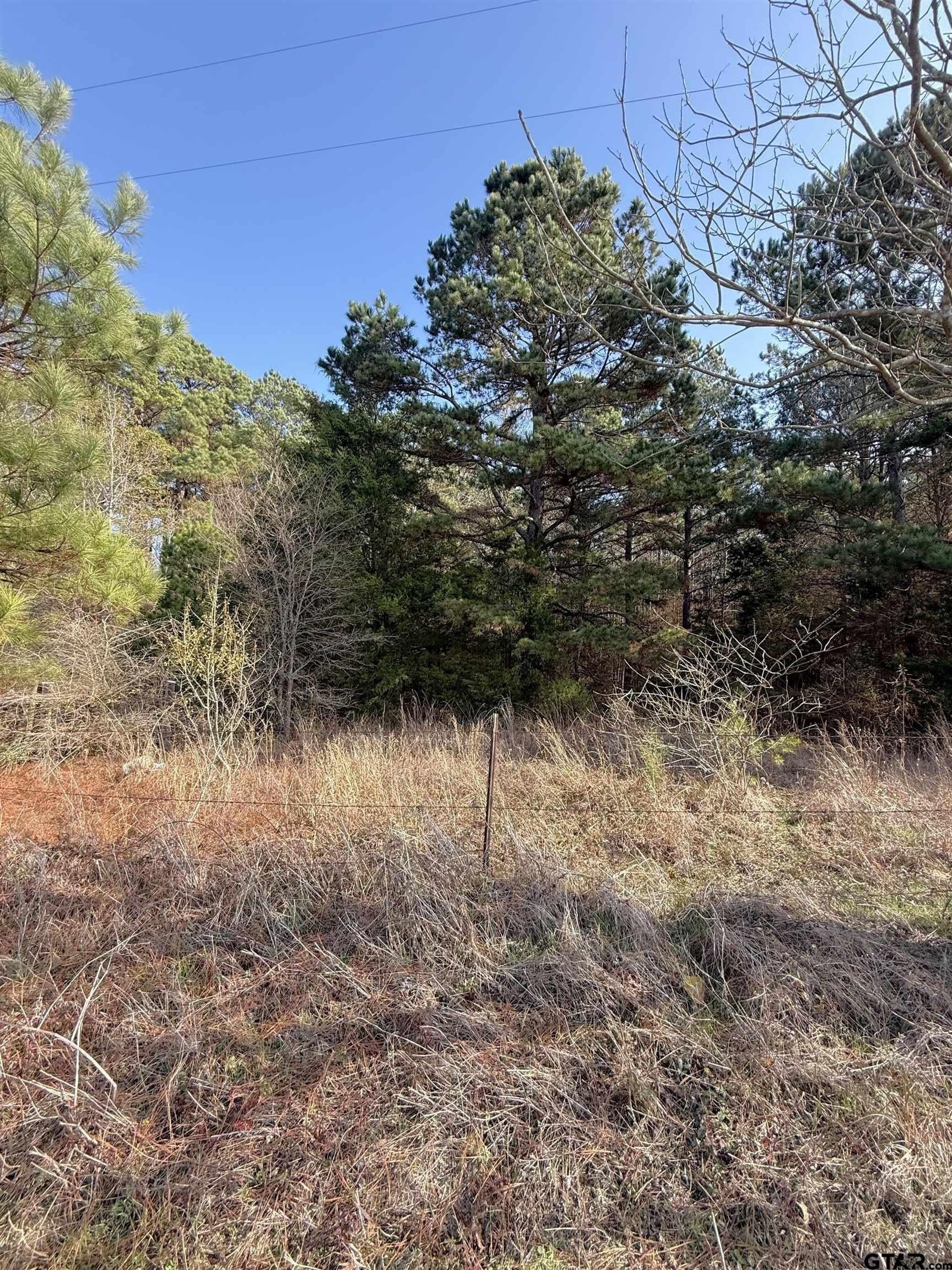 11 acres in Cass County - photo 2