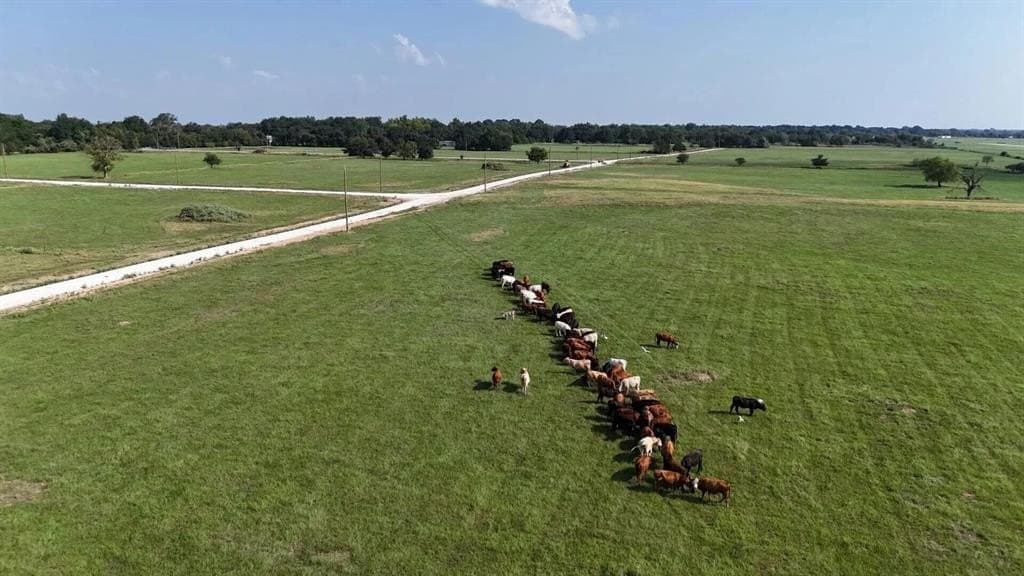 3.31 acres in Limestone County - photo 7