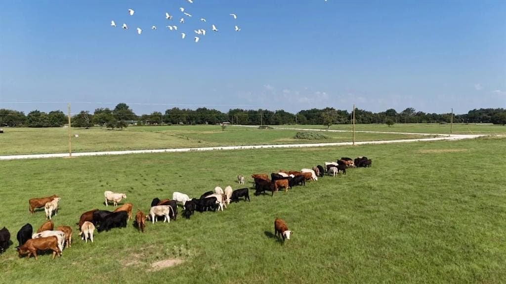 3.31 acres in Limestone County - photo 9