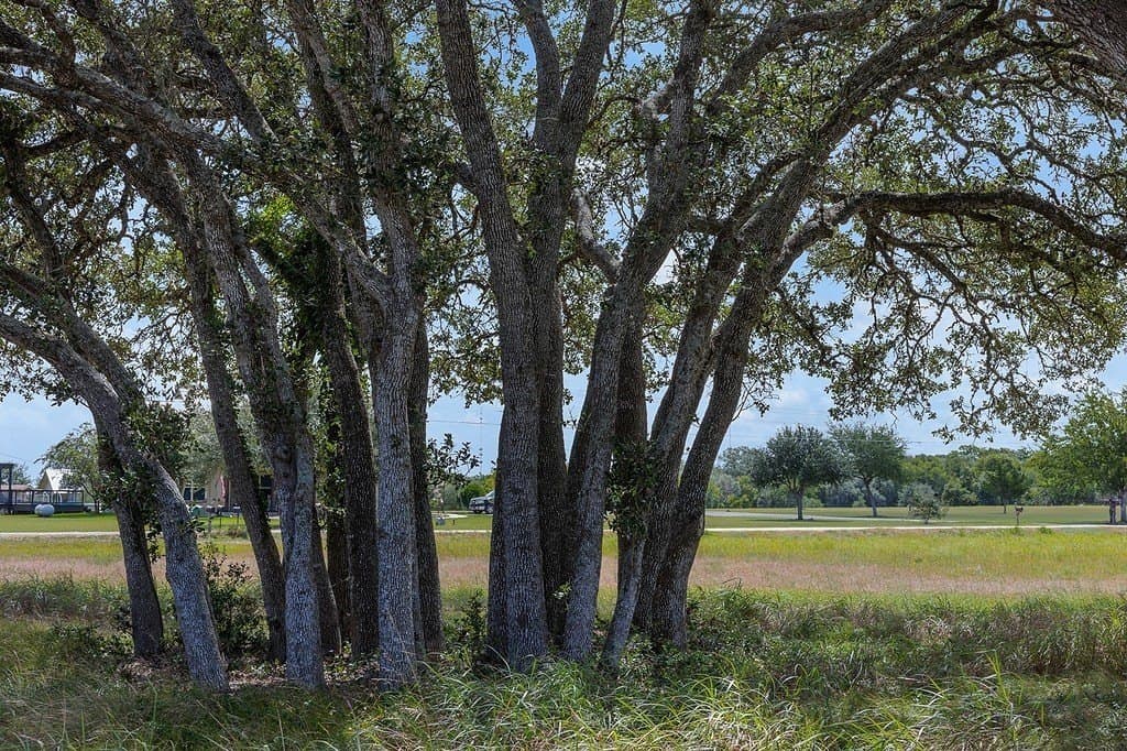 5 acres in Fayette County - photo 6
