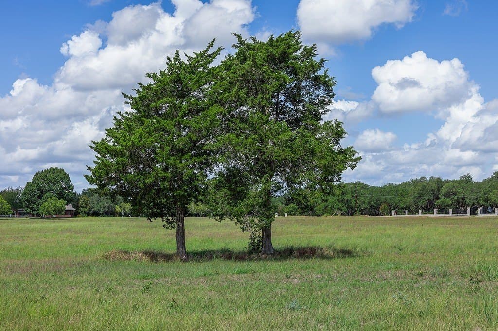 5 acres in Fayette County - photo 7