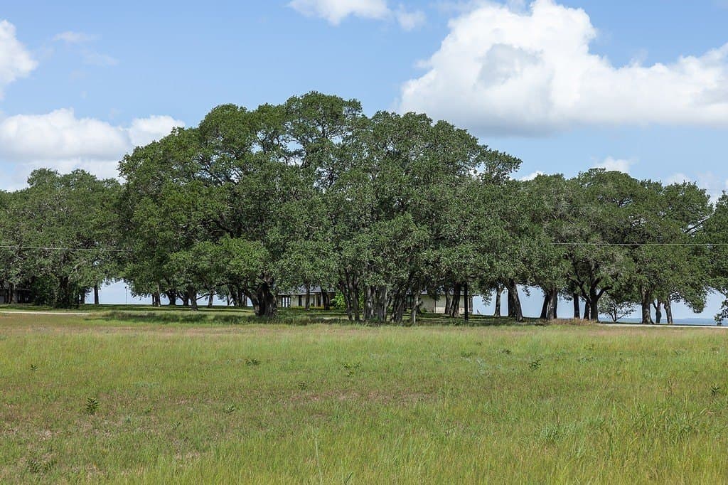 5 acres in Fayette County - photo 8