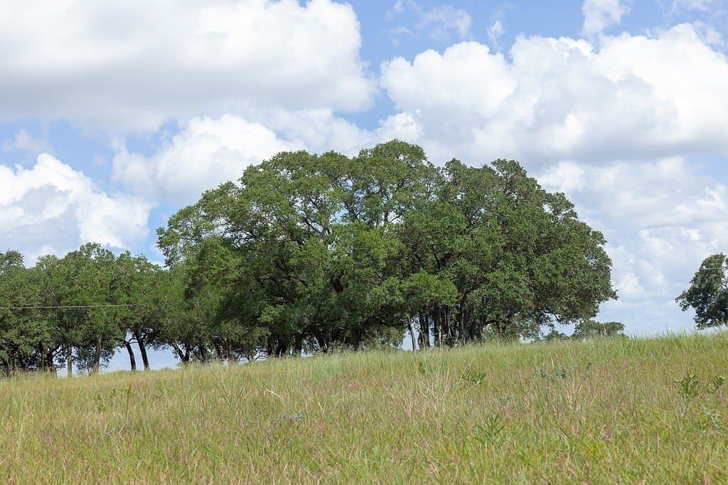 5 acres in Fayette County - photo 10