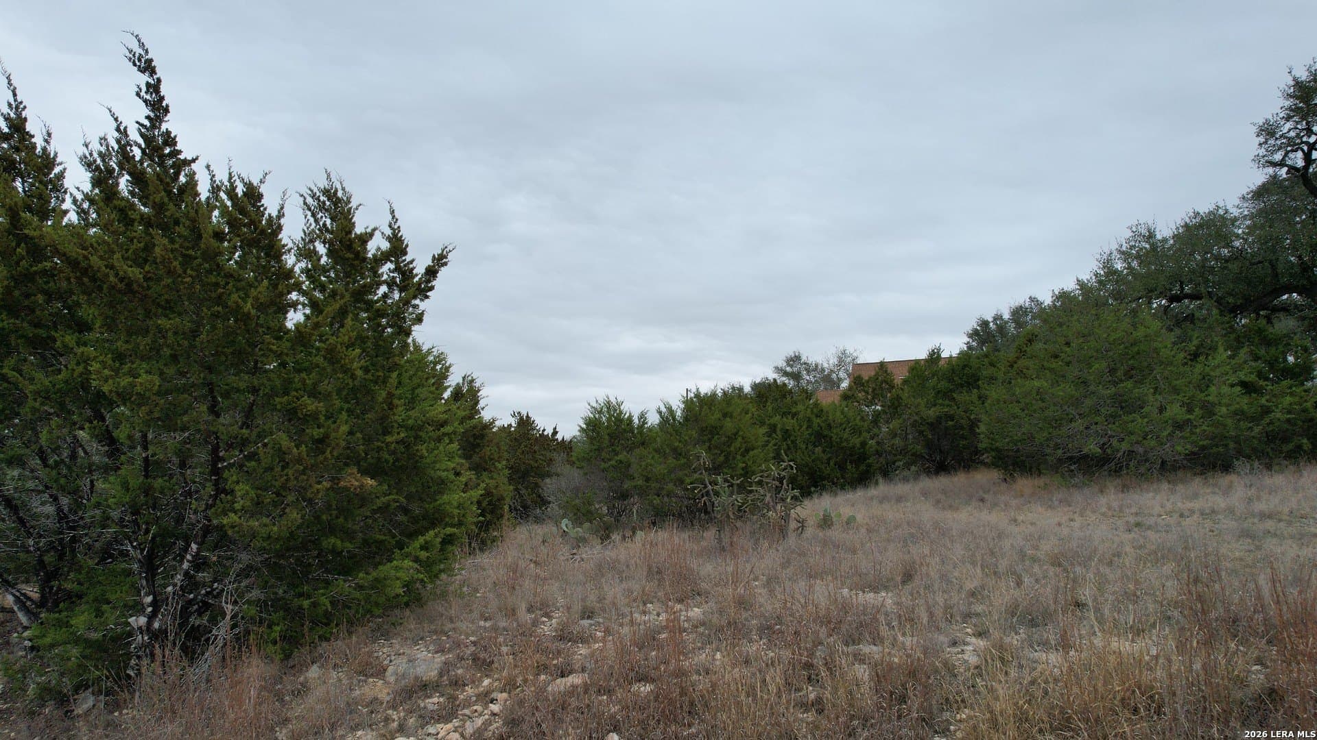 0.51 acres in Comal County - photo 8