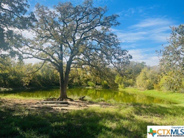 50 acres in Bastrop County - photo 7