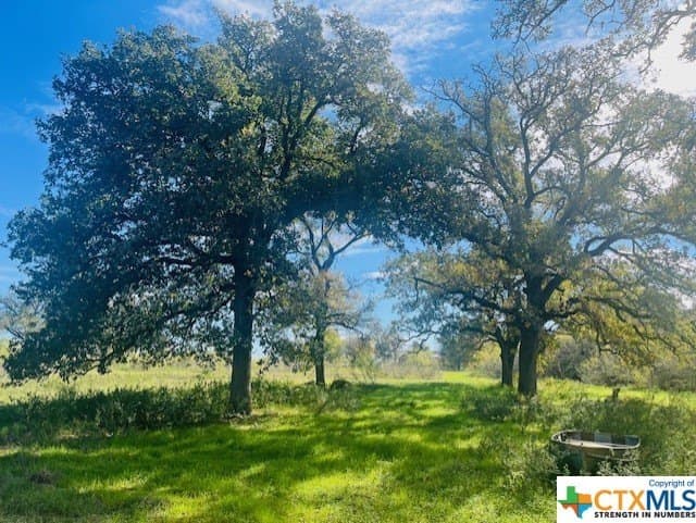 50 acres in Bastrop County - photo 6