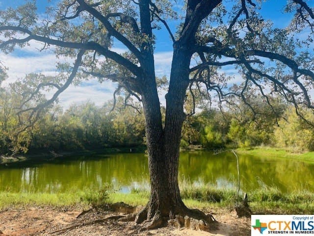 50 acres in Bastrop County - photo 2