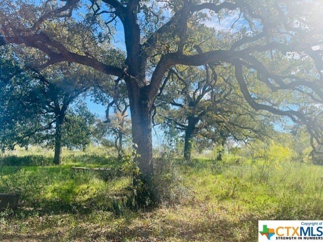 50 acres in Bastrop County - photo 5