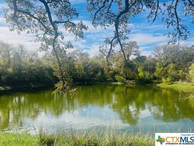 50 acres in Bastrop County - photo 3