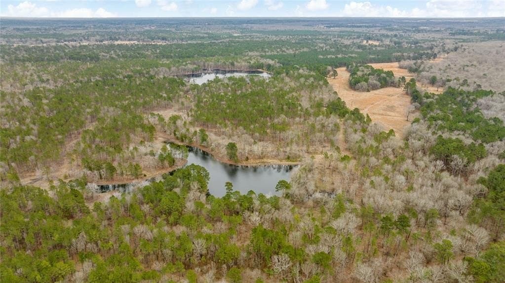 722 acres in Red River County - photo 14