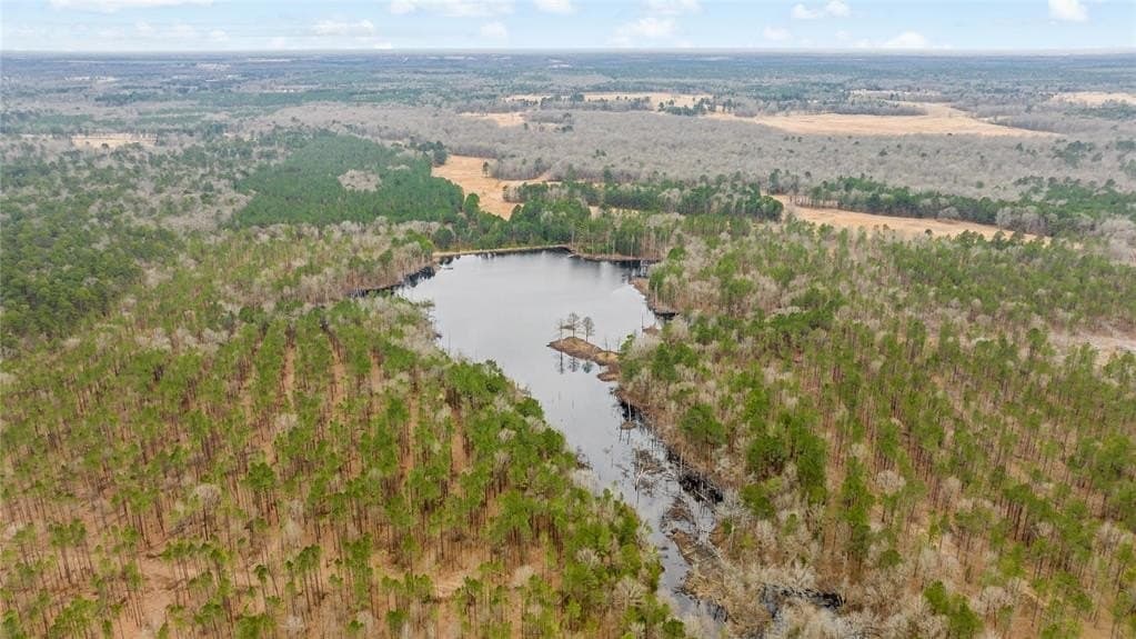 722 acres in Red River County - photo 13