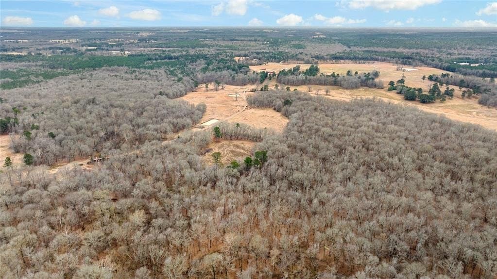 722 acres in Red River County - photo 15