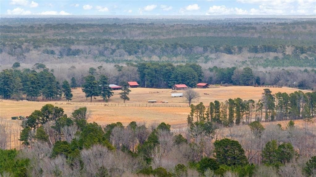 722 acres in Red River County - photo 19