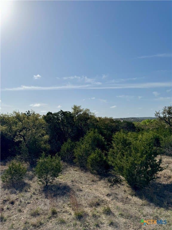 1 acres in Comal County - photo 11