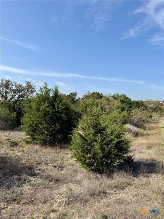 1 acres in Comal County - photo 10