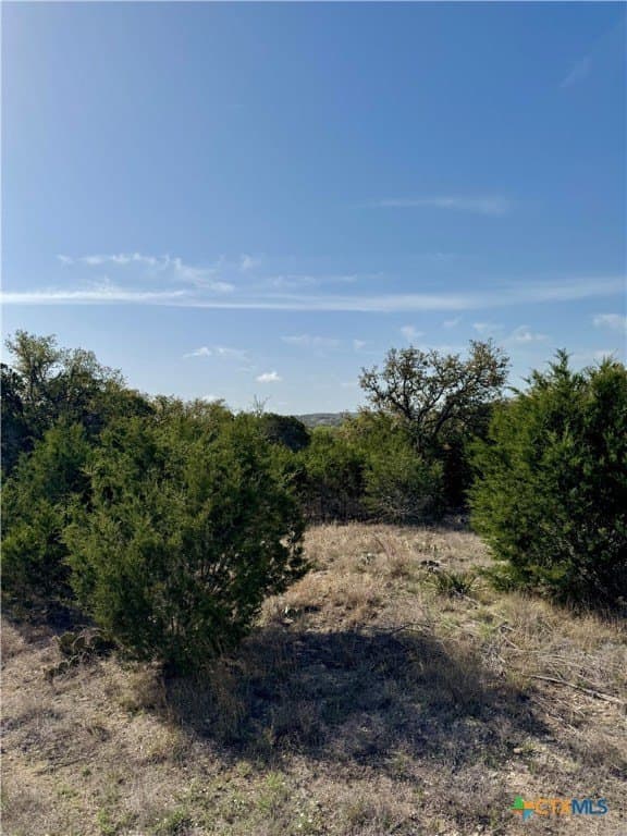 1 acres in Comal County - photo 8