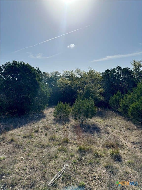 1 acres in Comal County - photo 9