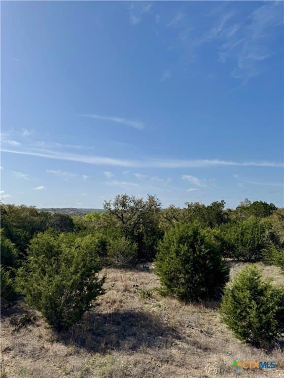 1 acres in Comal County - photo 13