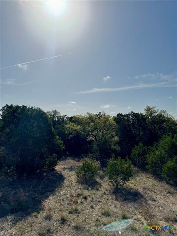 1 acres in Comal County - photo 12