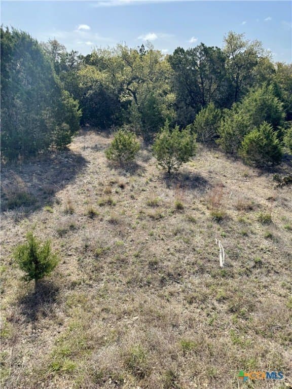 1 acres in Comal County - photo 14