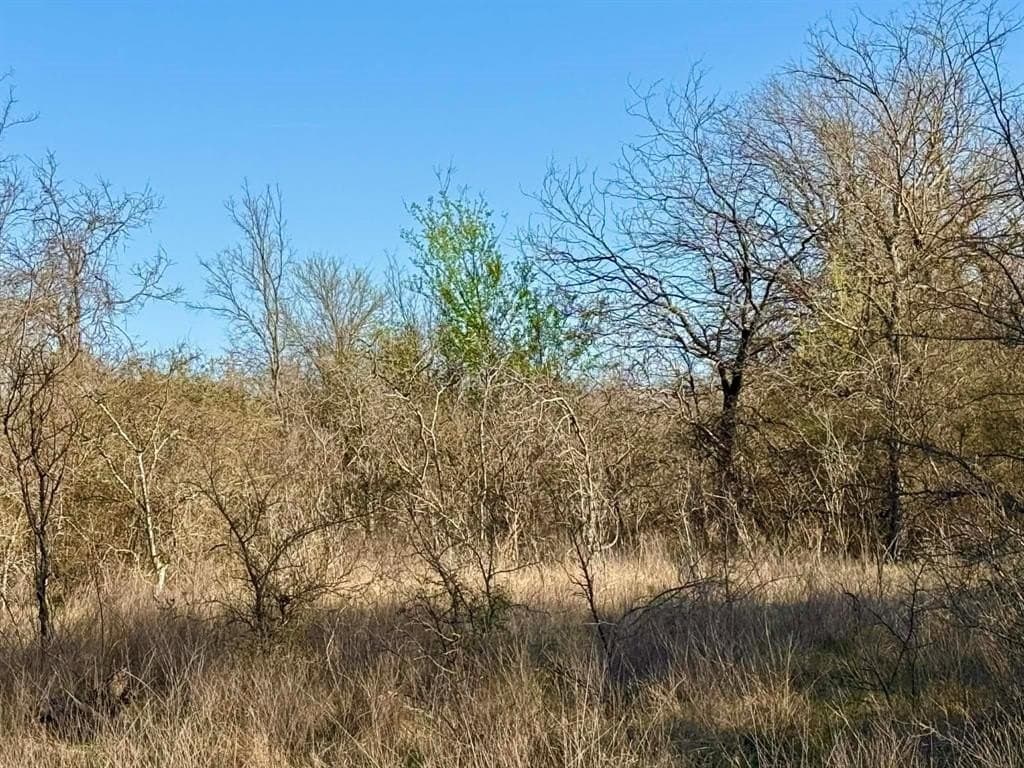 20.02 acres in Comanche County - photo 27