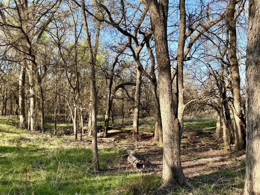 20.02 acres in Comanche County - photo 25