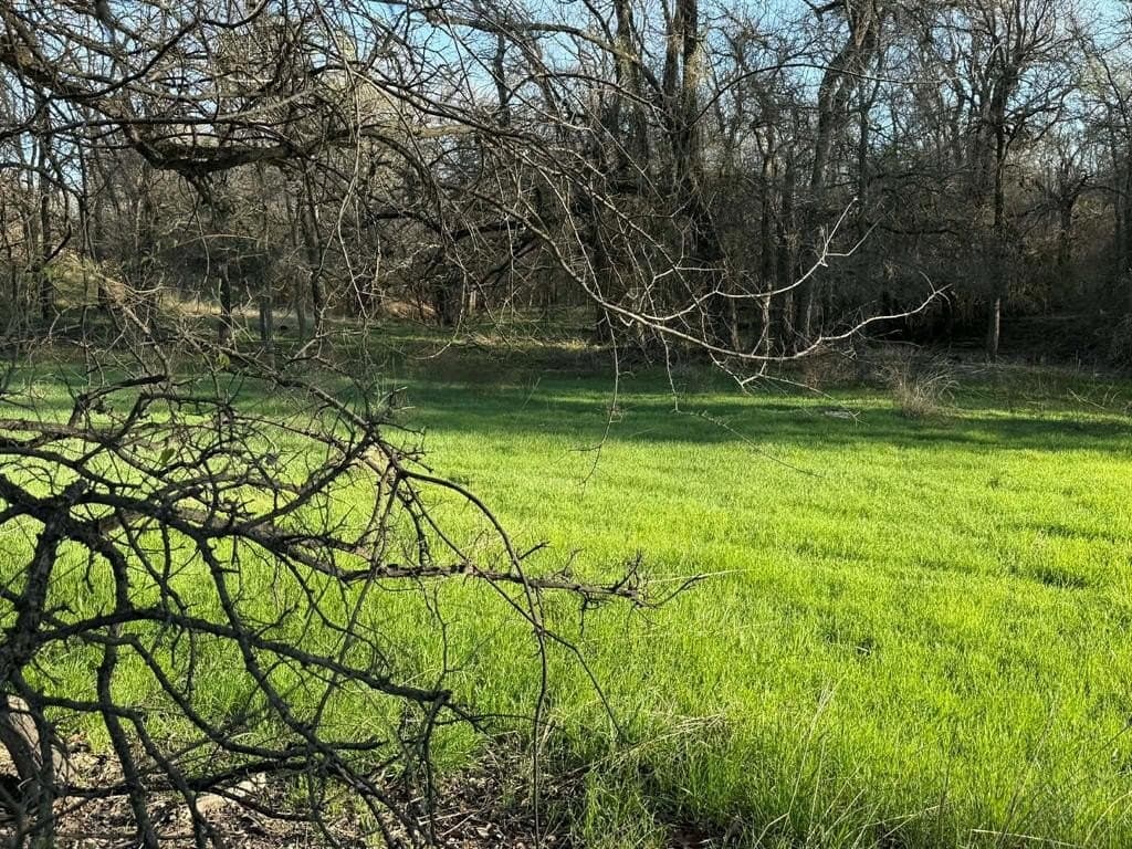 20.02 acres in Comanche County - photo 33